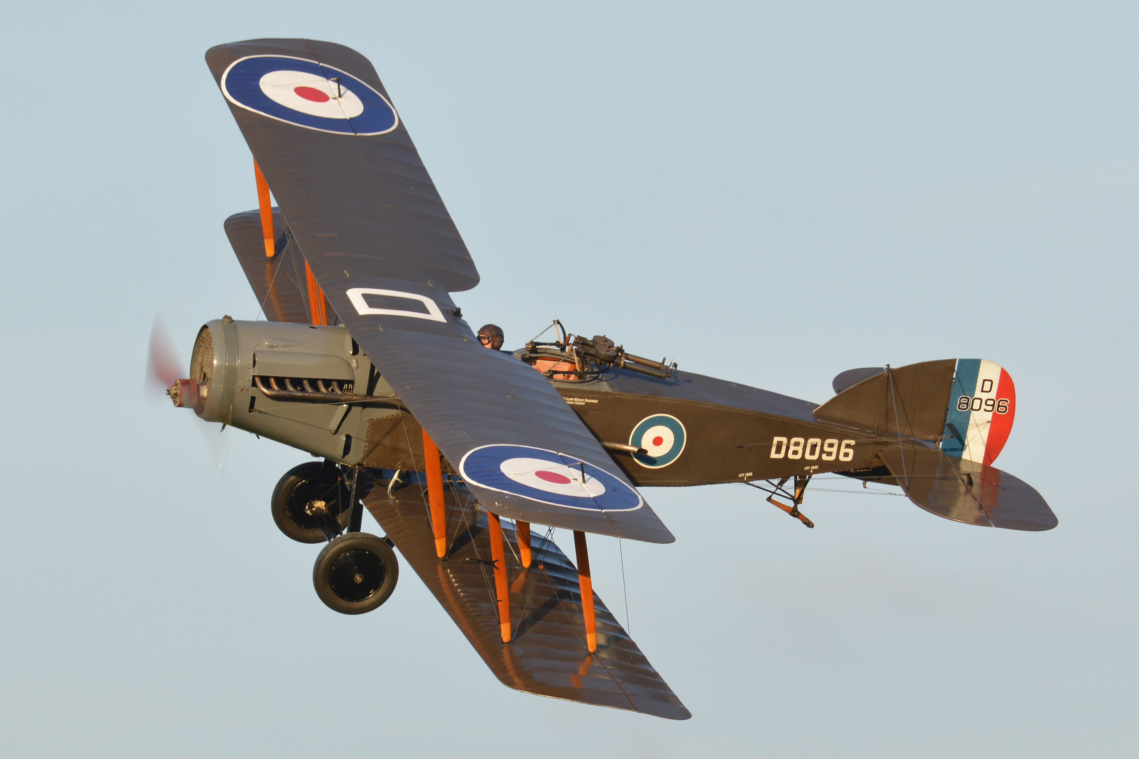 Bristol F.2B in formation; observer scanning astern